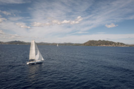 Jonas Nefzger Photography