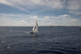 Jonas Nefzger Photography