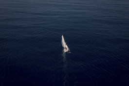 Jonas Nefzger Photography