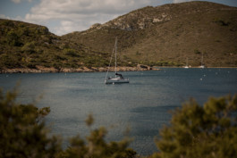 Jonas Nefzger Photography