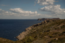 Jonas Nefzger Photography