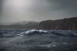 Jonas Nefzger Photography