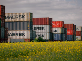 Jonas Nefzger Photography