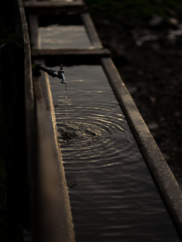 Jonas Nefzger Photography