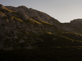 Jonas Nefzger Photography