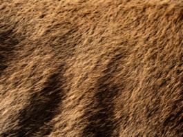 Jonas Nefzger Photography