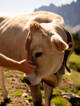 Jonas Nefzger Photography