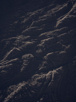 Jonas Nefzger Photography