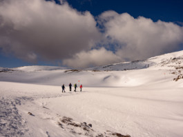 Jonas Nefzger Photography