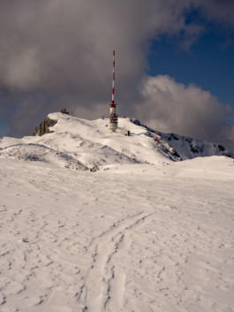 Jonas Nefzger Photography