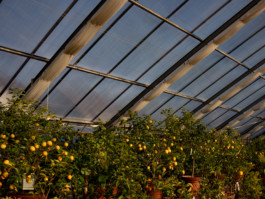 Jonas Nefzger Photography