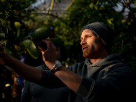 Jonas Nefzger Photography