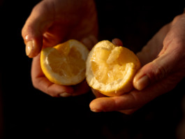 Jonas Nefzger Photography