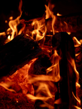 Jonas Nefzger Photography