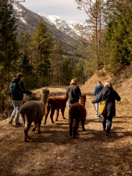 Jonas Nefzger Photography