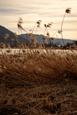 Jonas Nefzger Photography