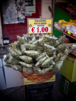 Jonas Nefzger Photography