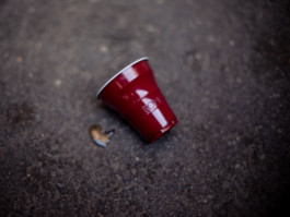 Jonas Nefzger Photography