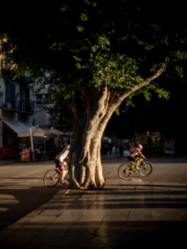 Jonas Nefzger Photography