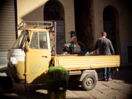 Jonas Nefzger Photography