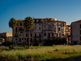 Jonas Nefzger Photography