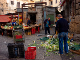 Jonas Nefzger Photography