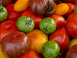 Jonas Nefzger Photography