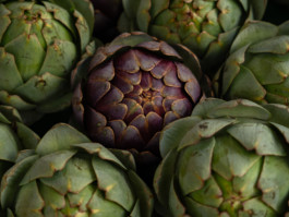 Jonas Nefzger Photography