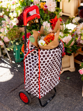 Jonas Nefzger Photography