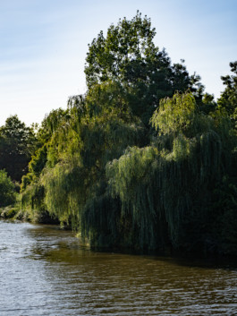 Jonas Nefzger Photography