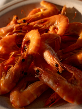 Jonas Nefzger Photography