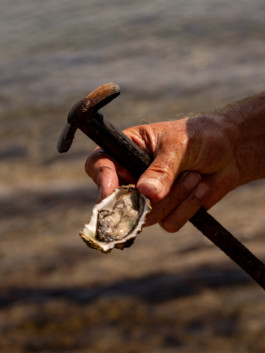 Jonas Nefzger Photography