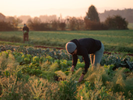 Jonas Nefzger Photography