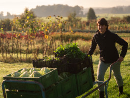 Jonas Nefzger Photography