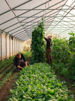 Jonas Nefzger Photography