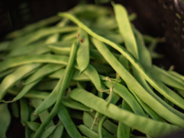 Jonas Nefzger Photography