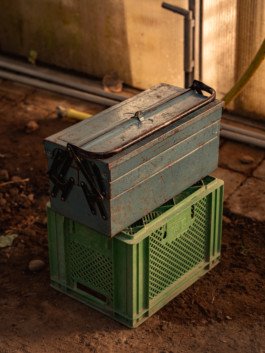 Jonas Nefzger Photography