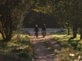 Jonas Nefzger Photography