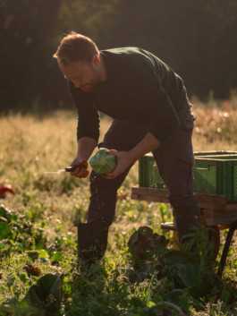 Jonas Nefzger Photography