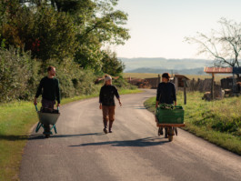 Jonas Nefzger Photography