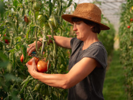 Jonas Nefzger Photography