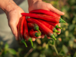 Jonas Nefzger Photography