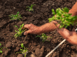 Jonas Nefzger Photography