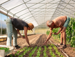 Jonas Nefzger Photography