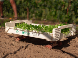 Jonas Nefzger Photography