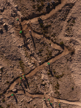 Jonas Nefzger Photography