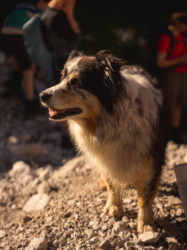 Jonas Nefzger Photography