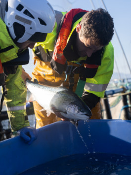 Jonas Nefzger Photography