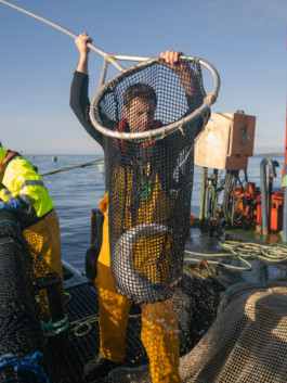 Jonas Nefzger Photography