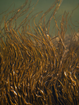 Jonas Nefzger Photography